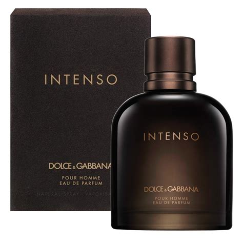 dolce and gabbana mens cologne|dolce and gabbana intenso men.